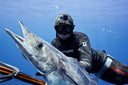 Alchemy Spearfishing - In For The Kill