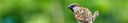 Why Companies Should Support Environmental NGOs