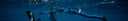 The Vital Role Of Knots In Freediving