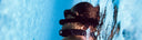How To Choose A Neck Weight For Freediving