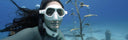 Freediving The Musan Underwater Museum In Cyprus