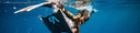 Do I Really Need Short Fins For Freediving?