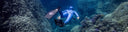 Competitive Diving Is The Stupidest Thing Of All