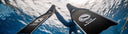Blue Element Freediving Competition - The Story So Far