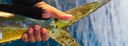 Deep Spearfishing At The Canary Islands