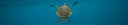 The Role Of Ocean Education