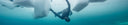 The Current State Of Freediving Medicine