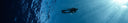 Why Wooden Spearguns Are Superior To Aluminum For Big Pelagic Fish