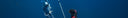 CMAS 8th World Championship Freediving Depth – Part 2