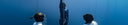 Is Teaching Freediving A Sustainable Career