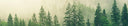 The Importance Of Rewilding And Reforestation In Climate Mitigation