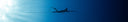 The Science Of Camouflage In Spearfishing