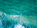 Why Environmental Education Became Part Of Our Freediving Center