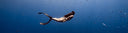 3 Tips for Maintaining Freediving Form Anywhere