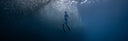 Helena Bourdillon Speaks About Mental Health And Freediving