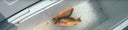 How To Get A Spearfishing World Record