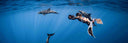 Freediving Florida