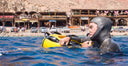 Freediving Courses At The Mayan Cenotes