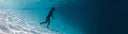 Alchemy Welcomes Freediver And Content Creator Andre Musgrove