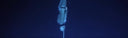 Sayuri Kinoshita Freediving To 94m