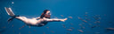 Alchemy V330 Carbon Freediving Fins Review