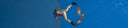 Turning Freediving Into A Profession