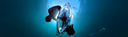 Freediving With A Blue Shark