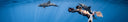 Breaking Down Freediving Myths