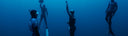 Freediving Competitions Help You Progress