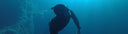 Freediving Gozo