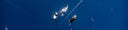 Enjoy The Silcence In Freediving