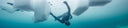 7 Tips To Improve Your Freediving Skills Quickly