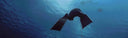 Freediving Bonaire