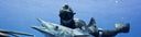 Do We Need Gloves For Spearfishing