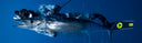 The Hardest Reload In Spearfishing