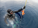 Why Rope Stretch Matters More Than Most Freedivers Realize