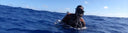 LMC - Samba Caught On Video While Spearfishing