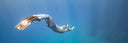 Freediving Camps At Deans Blue Hole