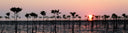 The Crucial Role Of Mangroves