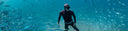 Applying Marginal Gains in Freediving - A Holistic Approach