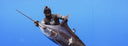 Nicolas Tahimanarii Joins The Alchemy Spearfishing Team