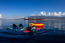 Why Overtraining In Freediving Is Hard To Detect