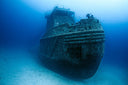 Why Humans Started Building Artificial Reefs
