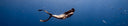 3 Things I Learned During 2 Freediving World Championships