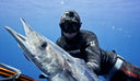 Do Fish Shrink After Being Iced