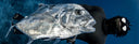 Are Freediving Lessons Useful For Spearfishing