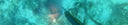 2-Hour Grouper Extraction