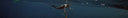 I Speared A Giant Dogtooth Tuna