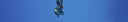 Is Spearfishing Sustainable