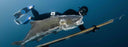 Spearfishing Amberjack